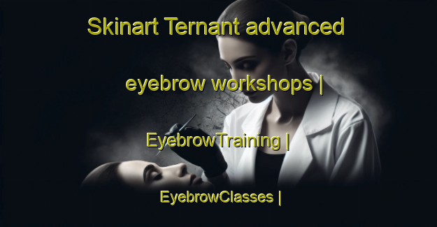 Skinart Ternant advanced eyebrow workshops | EyebrowTraining | EyebrowClasses | SkinartTraining-France